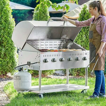 BACKYARD PRO LPG48RD 48in Stainless Steel Liquid Propane Outdoor Grill With Roll Dome 554LPG48RD